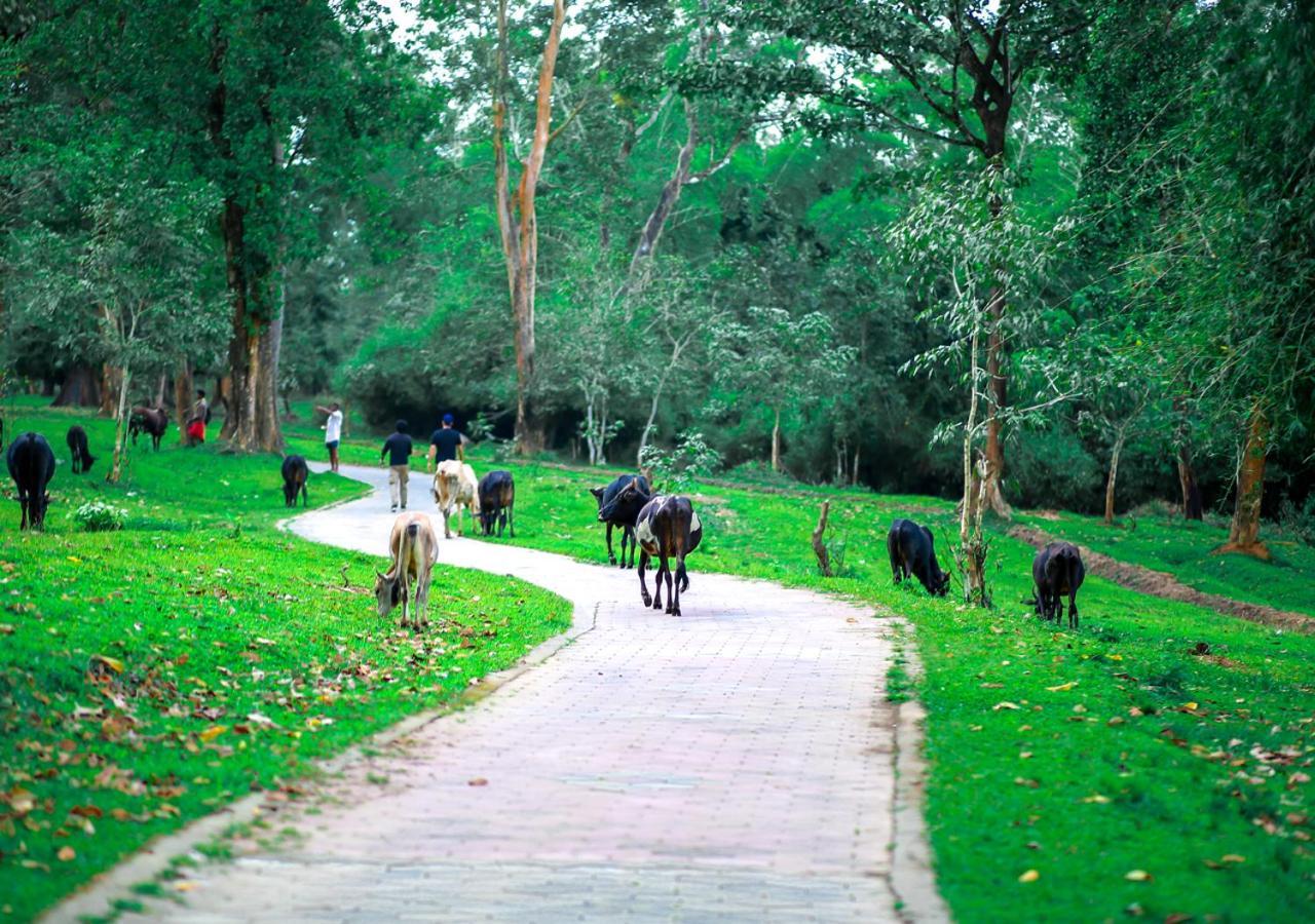 Tusker Inn Wayanad Forest Villa By Voye Homes Luaran gambar